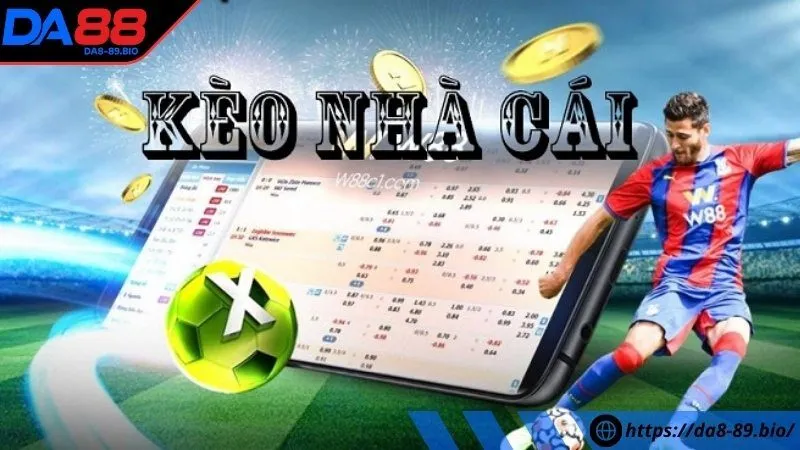 Sơ lược về cách soi kèo tại nhà cái